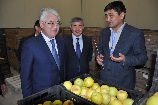 Облыс әкімі Қазығұрт ауданына жұмыс сапарымен барды