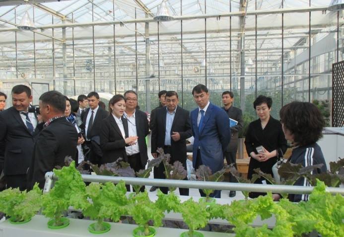 ОҚО кәсіпкерлері ҚХР мен Оңтүстік Кореяға іскерлік сапармен барып қайтты