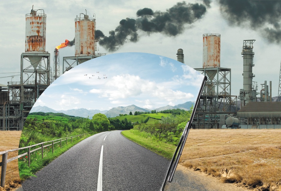 Облыстық Экология департаментіне жаңа басшы келді