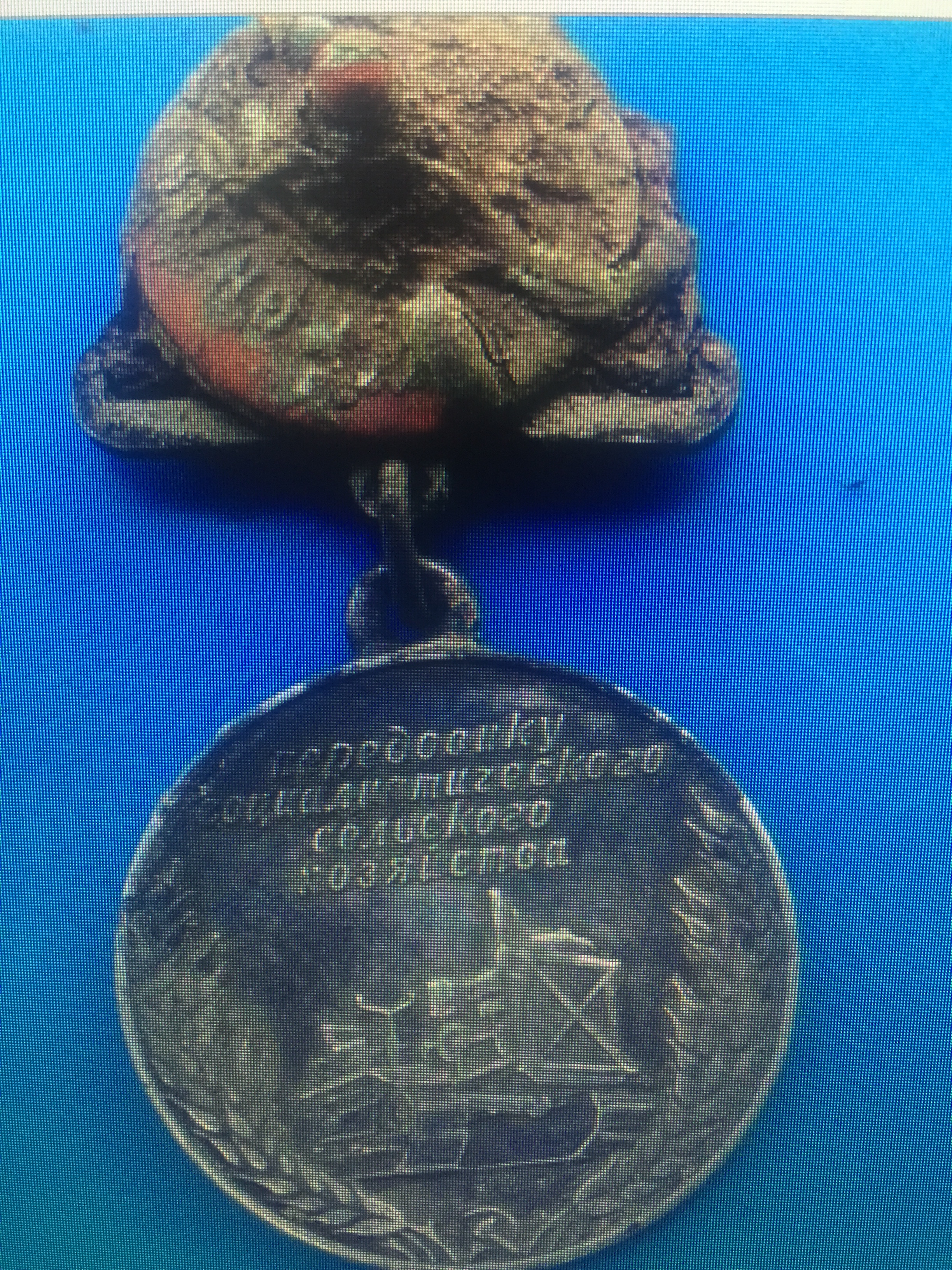 Ресей жерінде тағы бір қазақ жауынгерінің сүйегі табылды