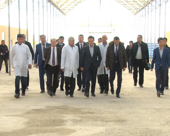 Ауыл шаруашылығы министрі Оңтүстікке іс-сапармен келді