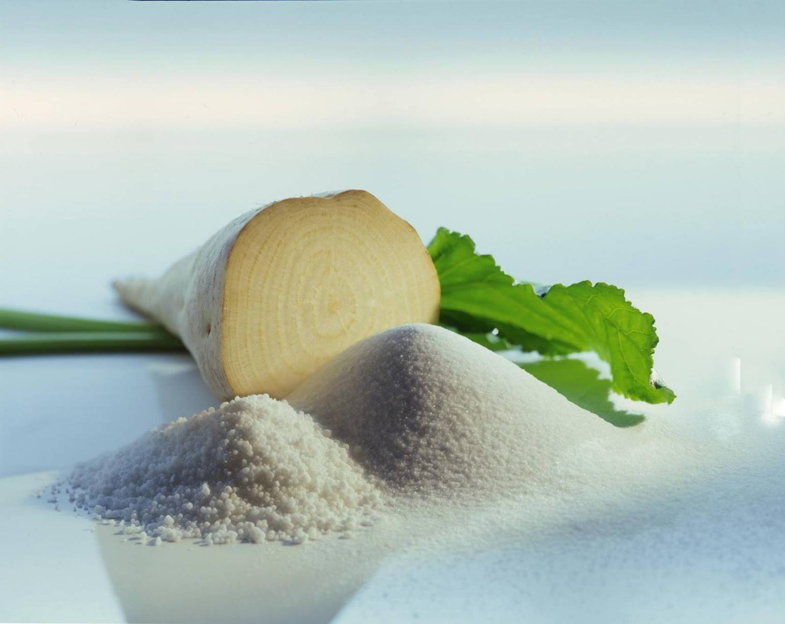 Оңтүстікте қант қызылшасын өңдейтін зауыт салынбақ