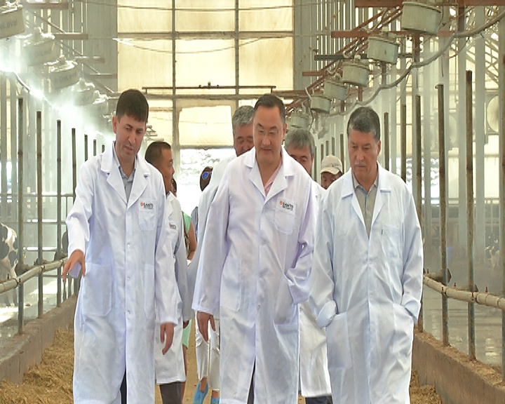 Украинаның асылтұқымды сиырлары оңтүстікке әкелінбек