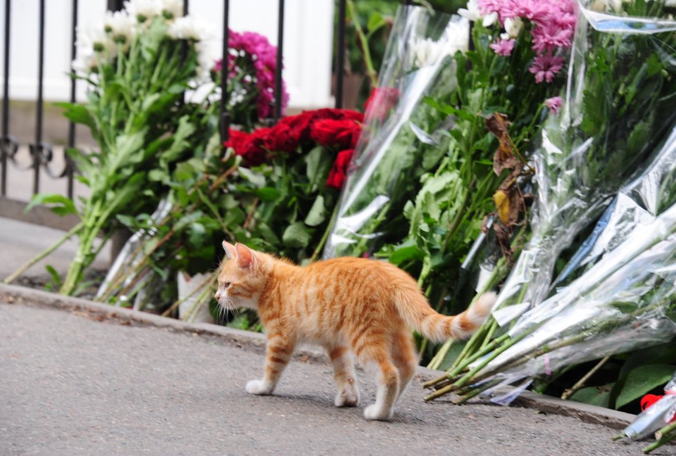 Жизнь Алматы после теракта. Фоторепортаж