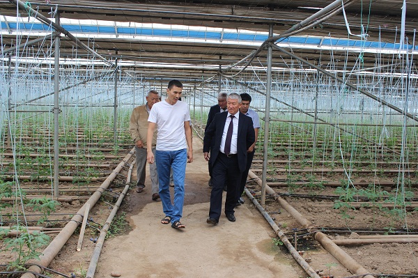 Төле би ауданының әкімі елді мекендерді аралады