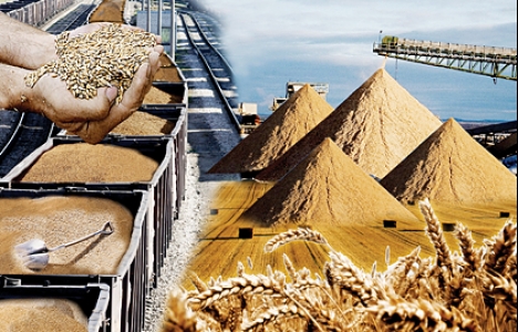 Аграрлық сектор бизнес үшін тартымды салаға айналып келеді – А.Мырзахметов