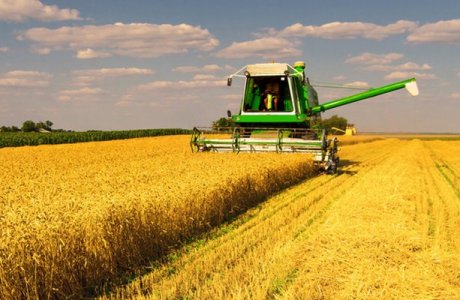 ОҚО Аумақтық инспекциясына жаңа басшы келді