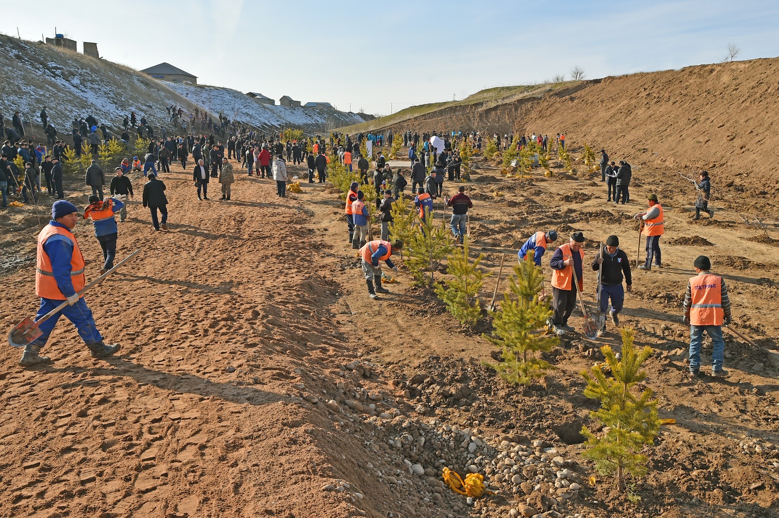 ШЫМКЕНТТЕГІ «САМАЛ» ШАТҚАЛЫНА 5 МЫҢ ТҮП АҒАШ ОТЫРҒЫЗЫЛДЫ