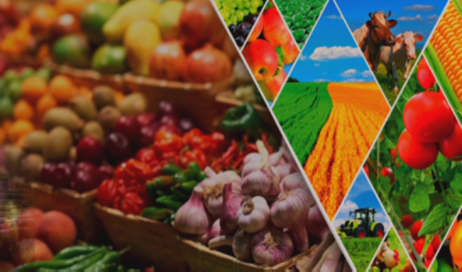 Шымкентте ауыл шаруашылығы саласын дамыту жоспары құрылуда