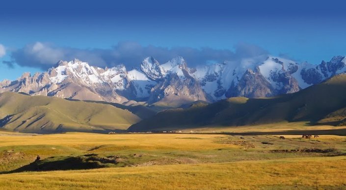 Алматы облысының әкімі Қытайдың миллиардеріне жер бөлуден бас тартты