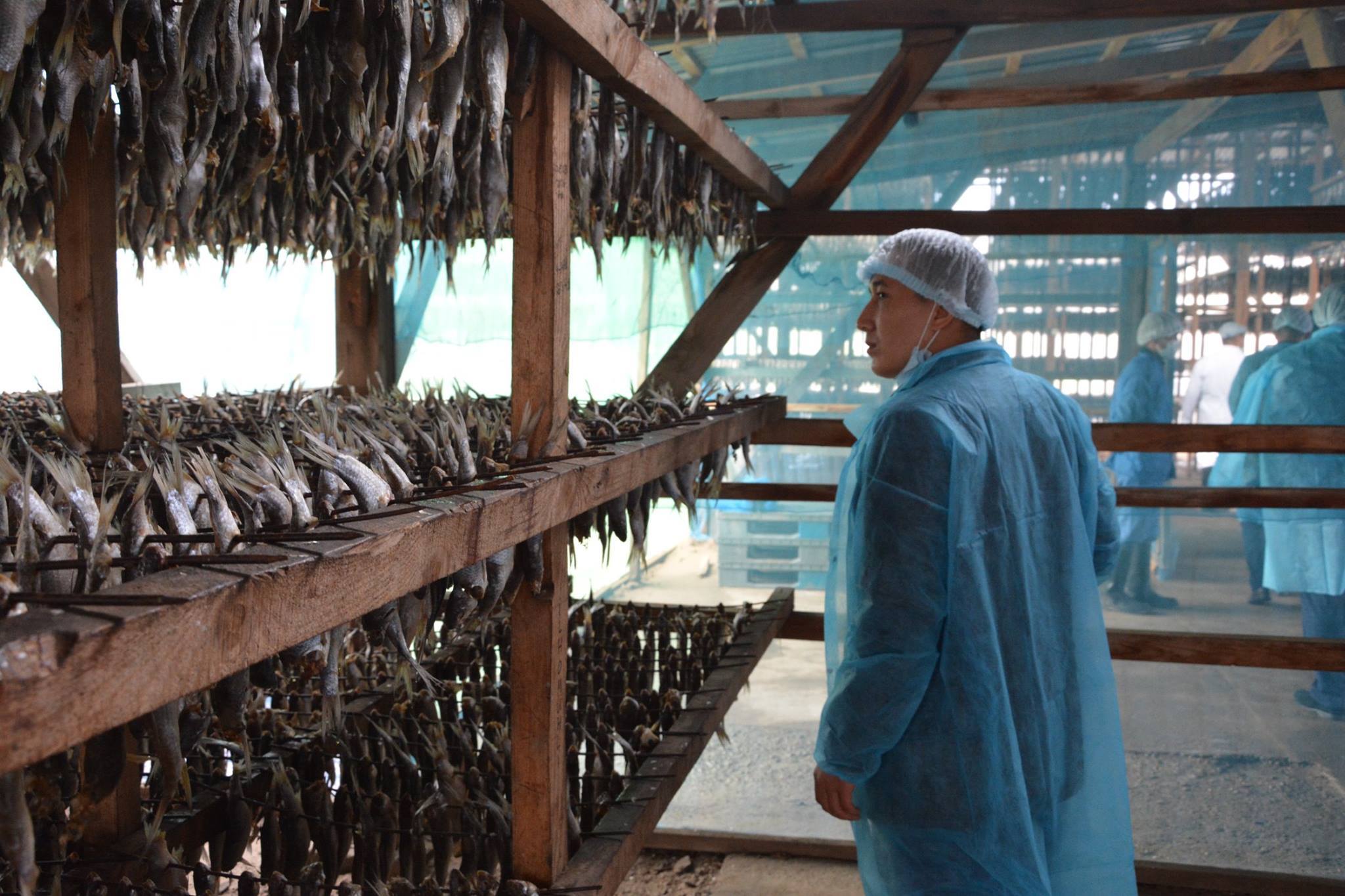 «Кооперация- агроөнеркәсіп кешенін дамытудың негізі» атты көшпелі семинар Мақтарал, Шардарада жалғасын тапты