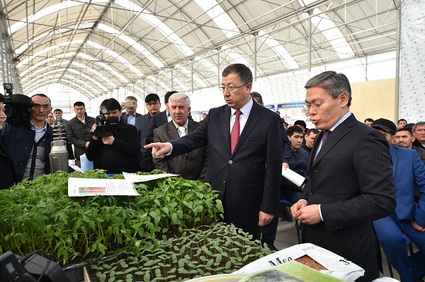 Оңтүстікте шаруаларды жаңа кәсіпке баулу жұмыстары басталды