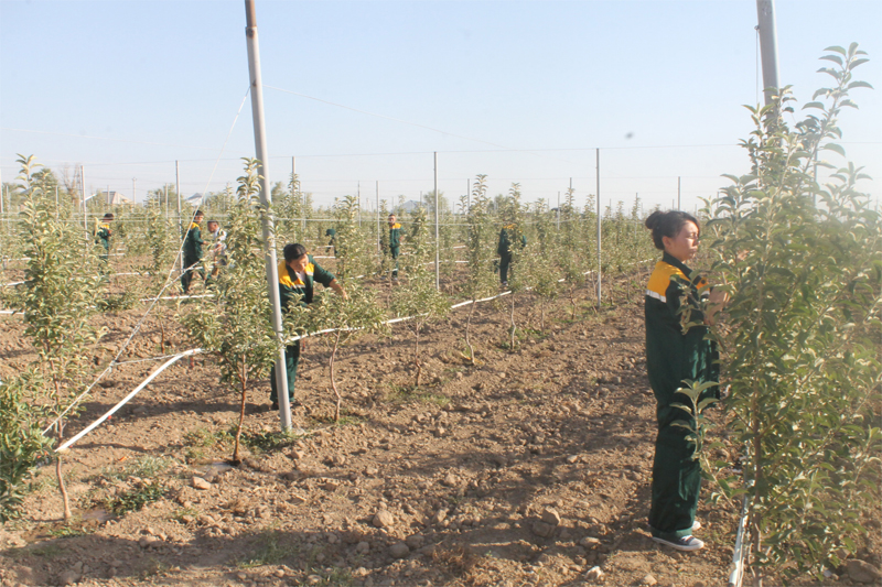Жолдау жүктеген міндет