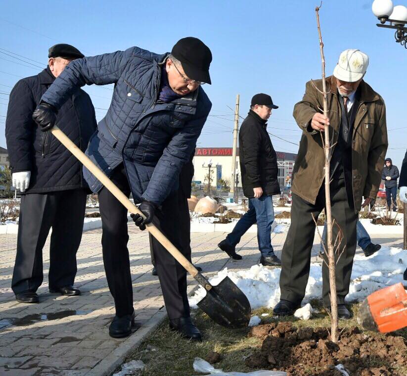 Әйелдер күні мерекесіне орай сәндік көшеттер отырғызылды