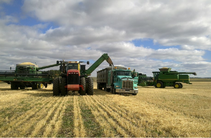 Егістік жұмыстарына берілетін несие пайызы азайды