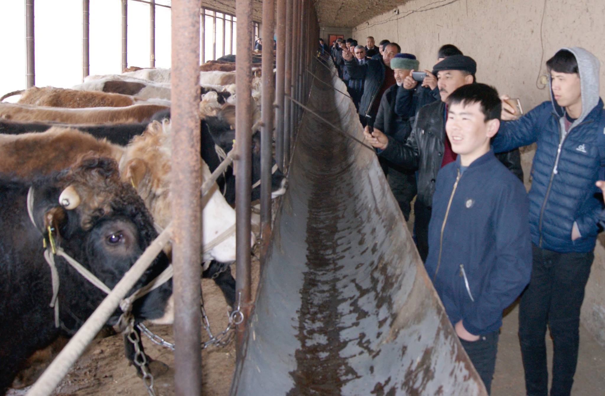 Облыстағы этномәдени бірлестіктер кәсіпкерлікті дамытуға үлес қосуда