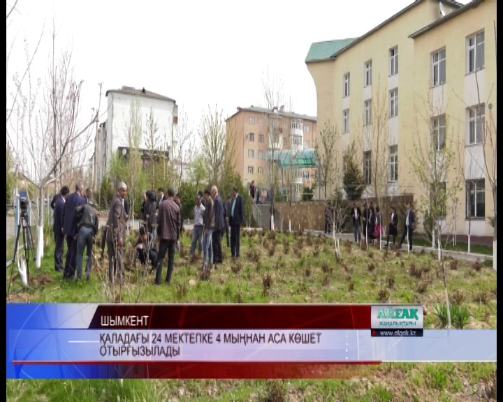 Облыс әкімінің «Шатқал» бағдарламасына мектеп оқушылары да үн қосты