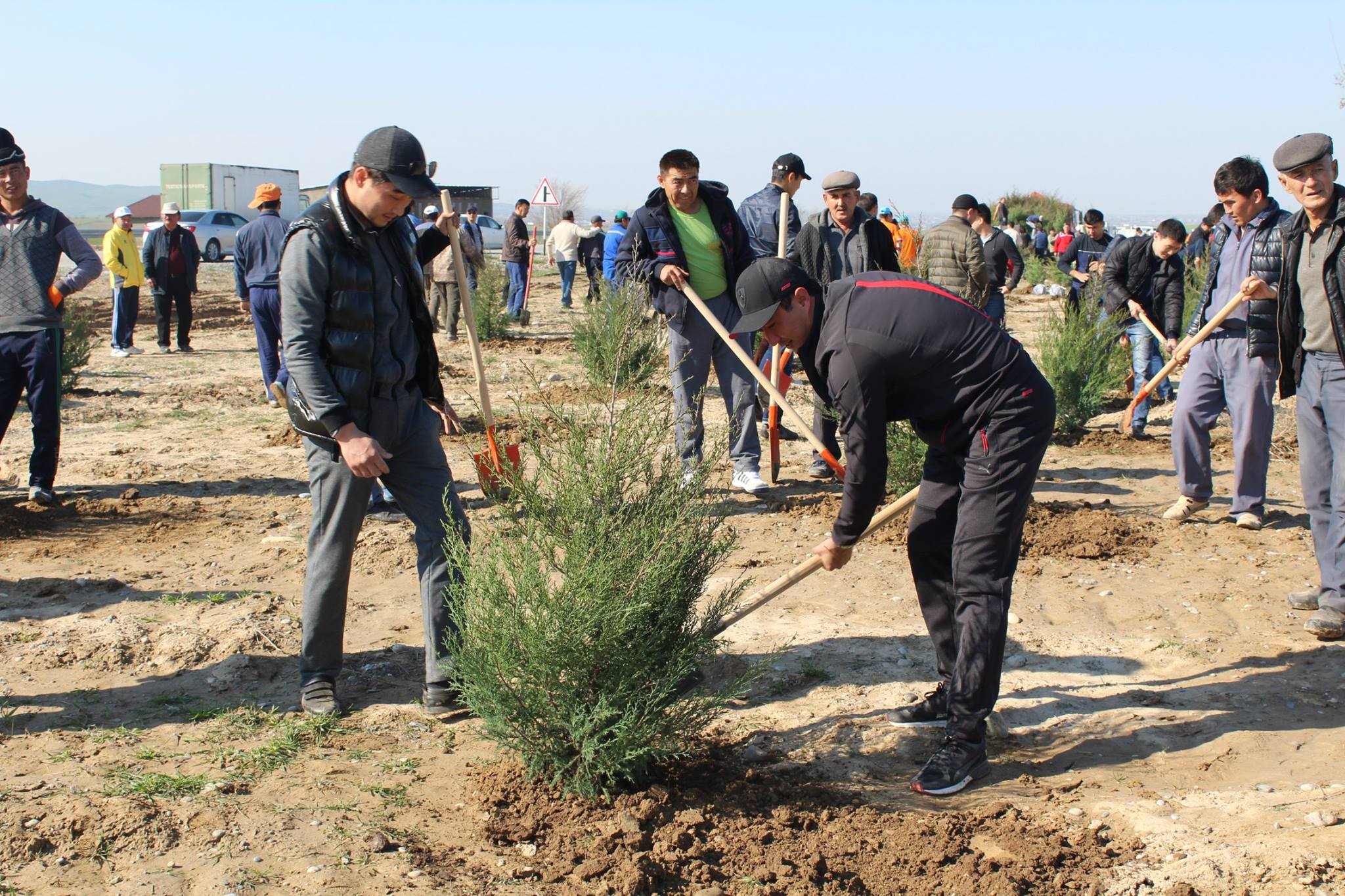 «Шатқал» бағдарламасы аясында Сайрамда жаңа саябақ ашылды