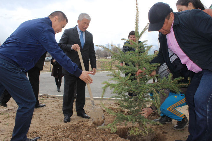 Төлеби ауданында 10 мың түп жеміс ағаштары отырғызылды