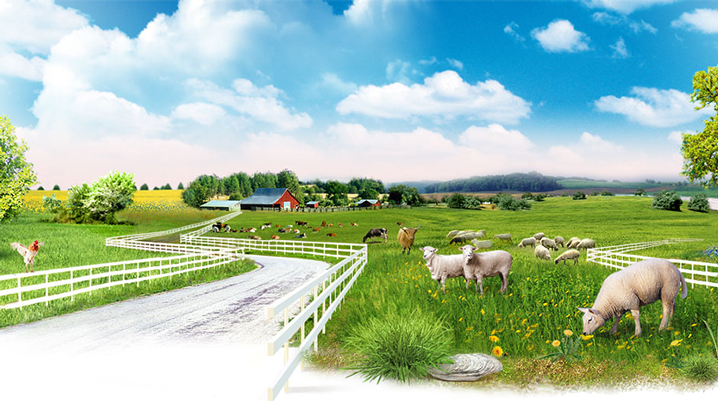 Фермерлік шаруашылықты қалай ашуға болады?