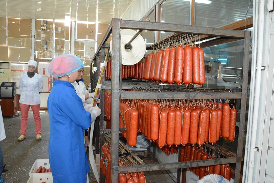 ОҚО шаруалары ЭКСПО-2017 көрмесіне 13 мың тонна өнім жеткізеді