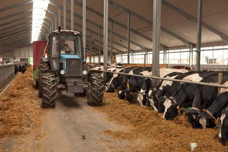 ОҚО-да кооперативтер үшін қайтарымсыз ақша берілмек