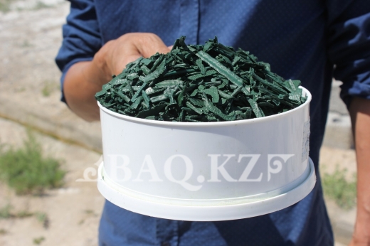 Оңтүстік тұрғыны қатерлі ісікті емдейтін дәрі өндіріп жатыр