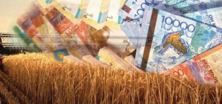 Фермерлер алғаш рет кепілзатсыз несие ала алады