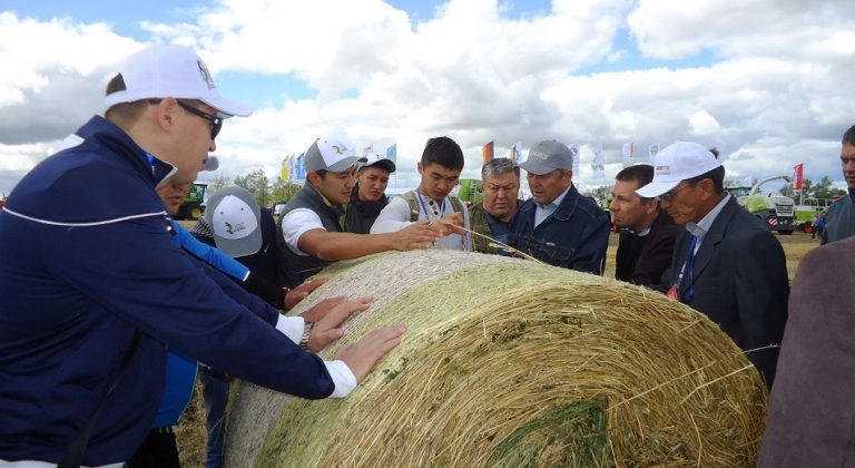 Кооперативтерді қолдауға 52 млрд теңге бөлінді