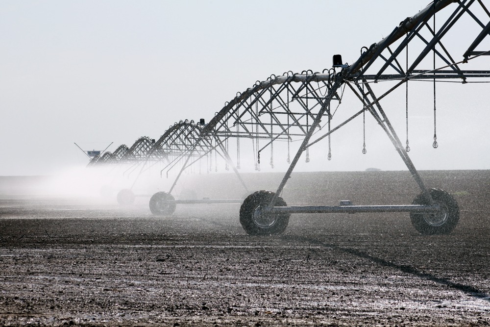 ОҚО: Арыста 600 га жер жаңбырлатып суғару әдісімен суғарылуда