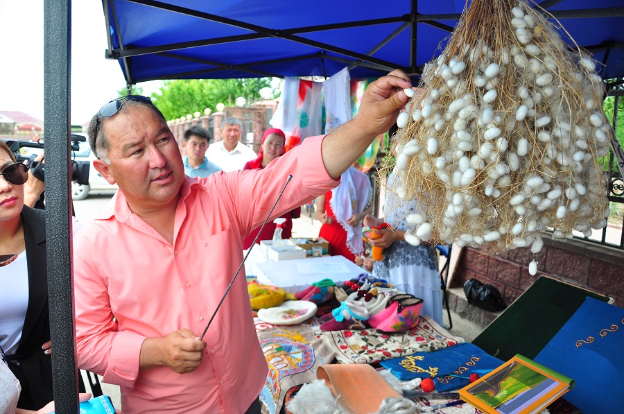 Оңтүстікте тұт ағашын отырғызу арқылы жібек мата өндіру ісі қолға алынды