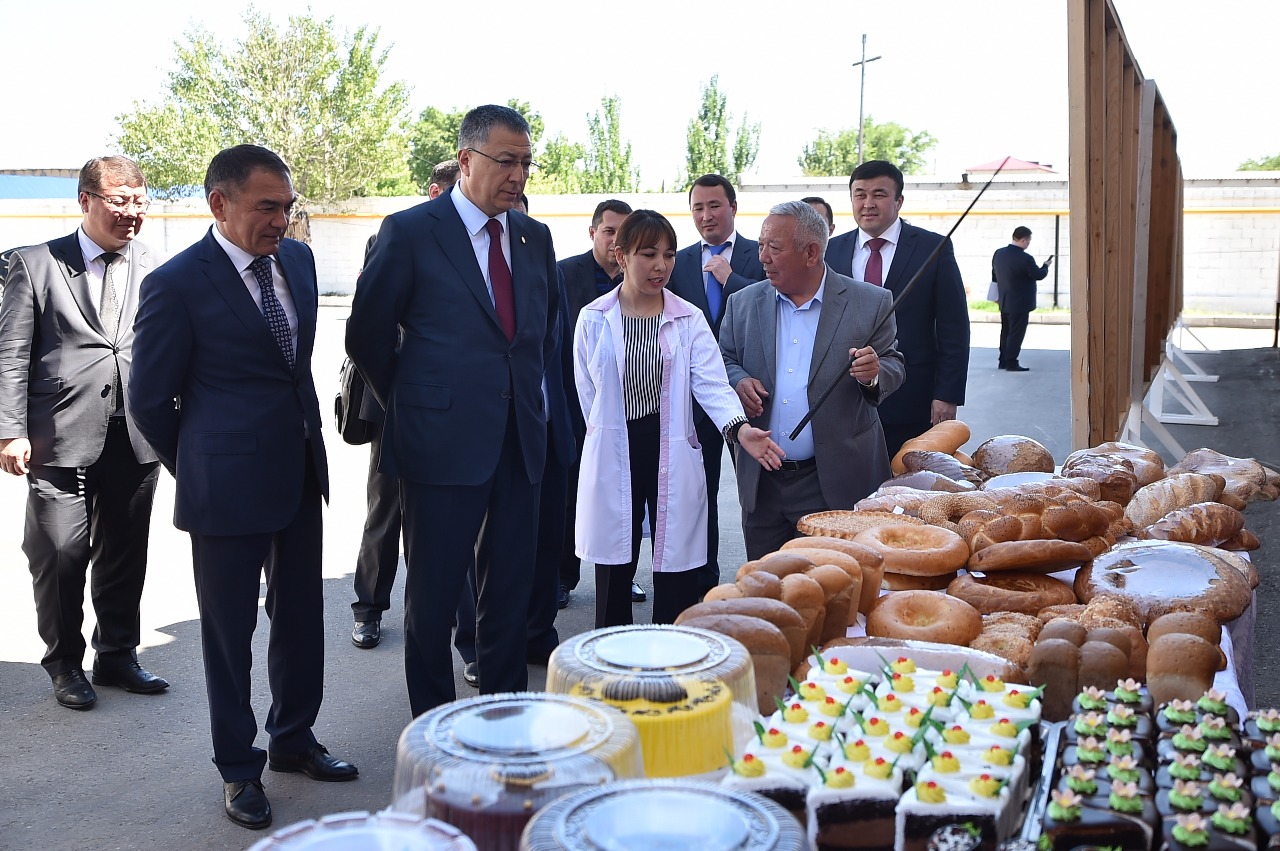 Түркістанда тауық өсіру ісі қолға алынды