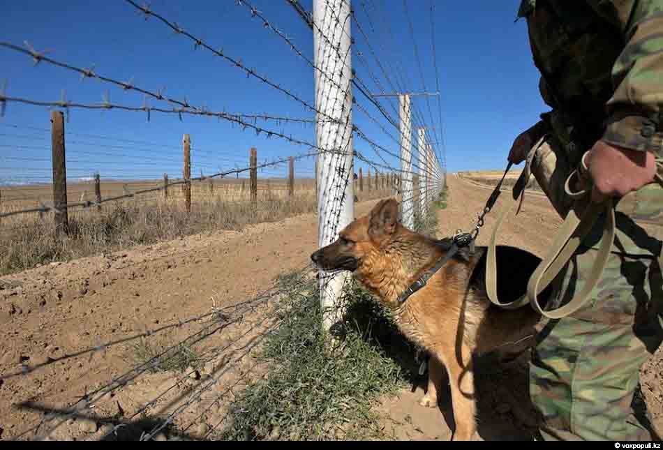 Халықаралық жол қайта жанданады