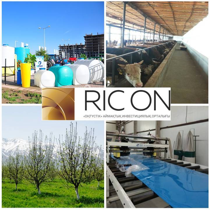 «ОҢТҮСТІК» АИО жарты жылда 2000-ға жуық жобаға қолдау көрсетті