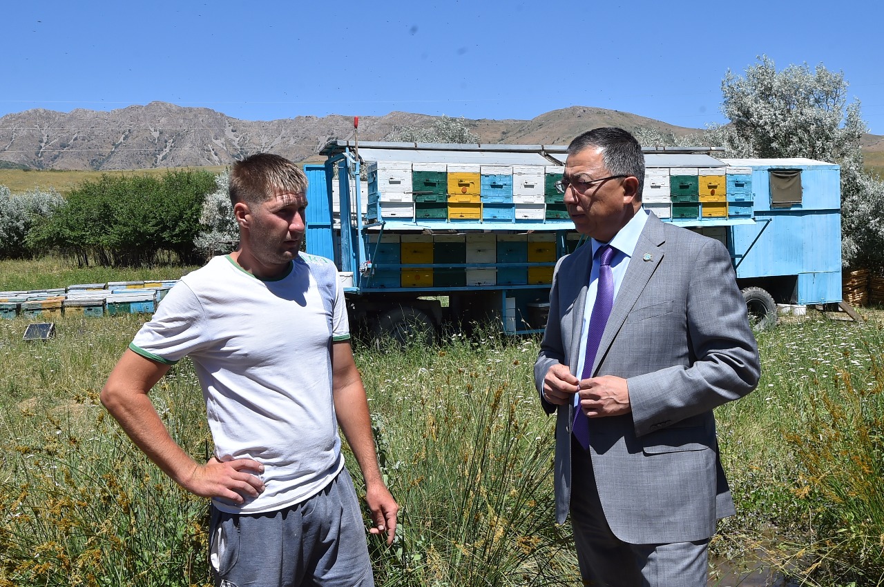 Оңтүстікте омарташылар кооперативі құрылады