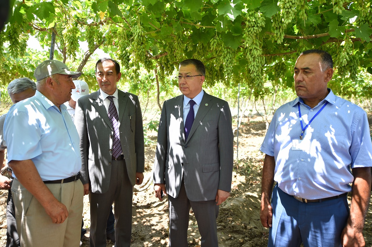 Мақтаралдық диқандар жиналған қауынның 70 пайызын экспорттаған