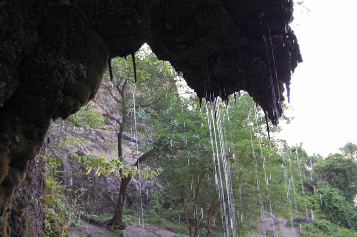 Түлкібас ауданындағы қасиетті мекендер