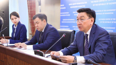 Қазақстан экономикасындағы өңдеу өнеркәсібінің үлесі 30%-ға жетті