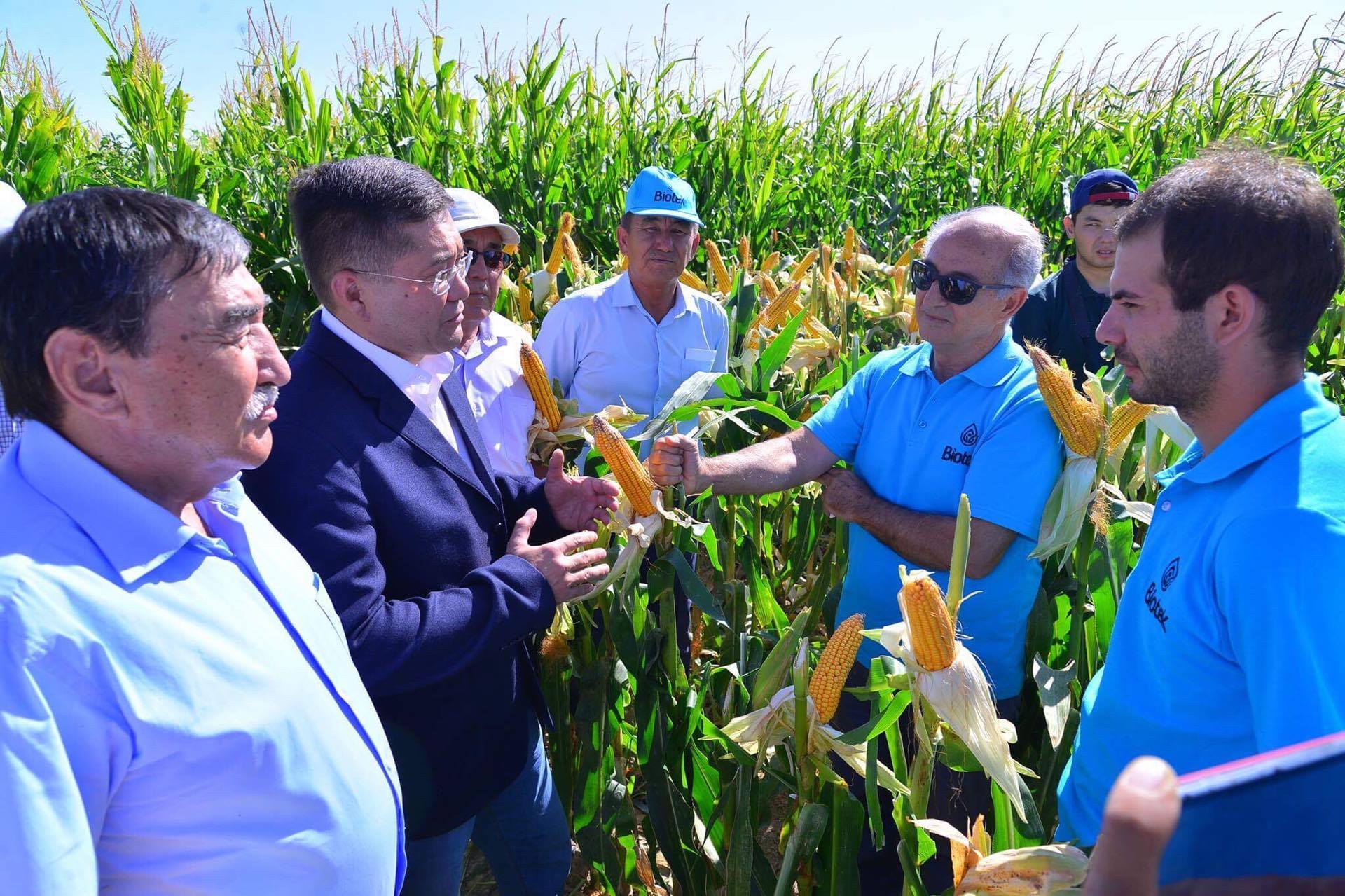 Тұзданған топырақтарда жүгерінің өнімділігін арттыруға арналған семинар