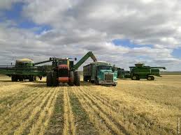 Мемлекет басшысы Н.Ә.Назарбаевтың астық жинау науқанының табысты аяқталуына байланысты құттықтауы