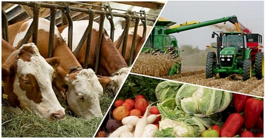 9 айда 39 млрд теңгенің 10 мыңнан астам несиесі берілді — АШҚҚ қоры