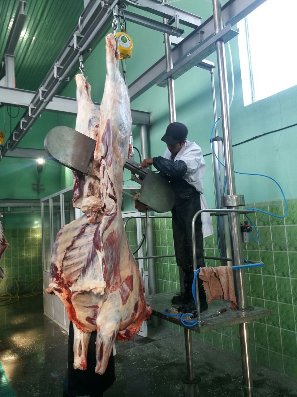 ОҚО әкімі Ж.Түймебаев «Тұмар» ауыл шаруашылығы өндірістік кооперативінде