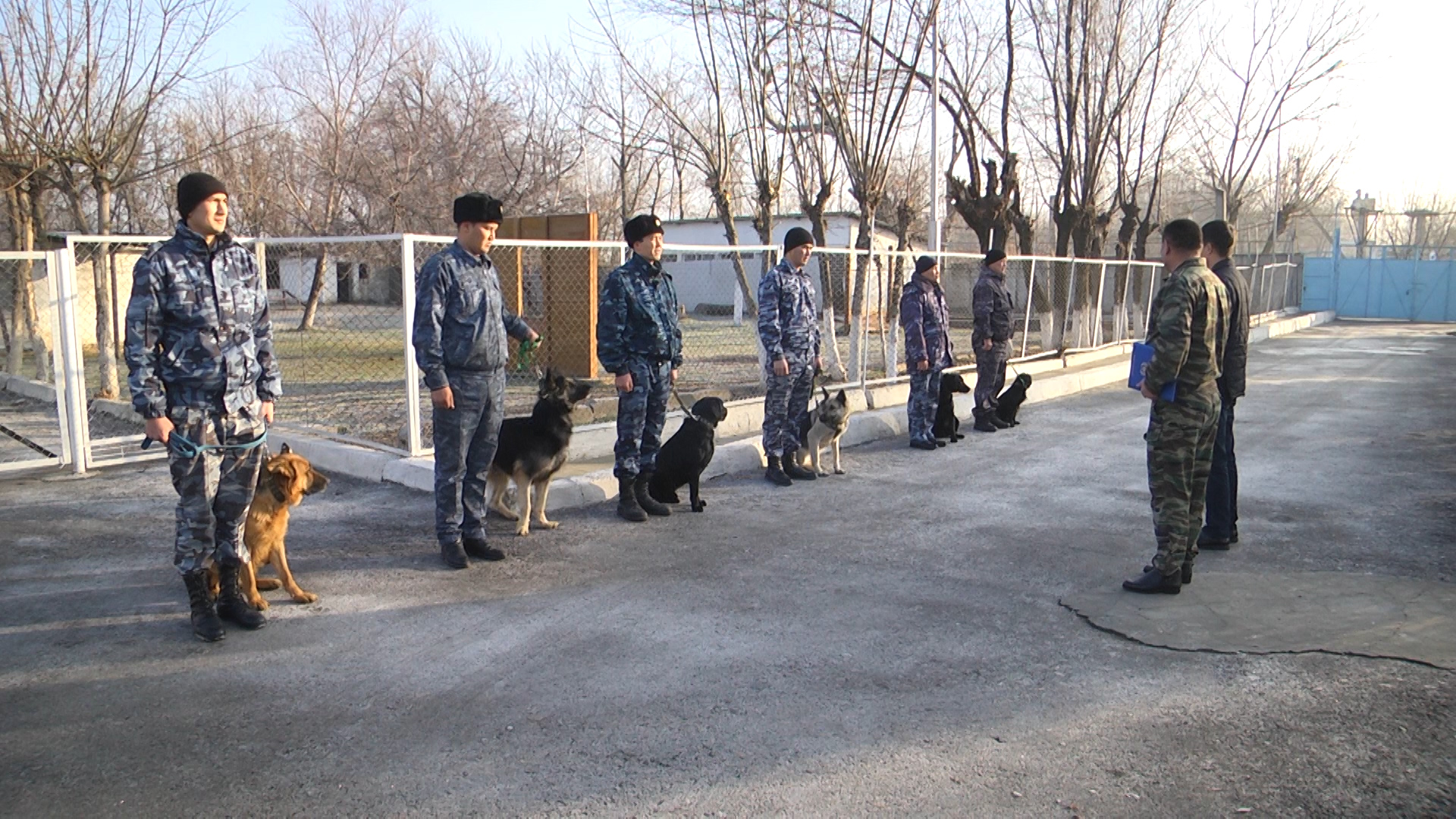 Адал дос, сенімді серік…