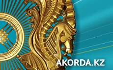 ҚР Президентінің Баспасөз хатшысы Елбасының АҚШ-қа сапары туралы айтты