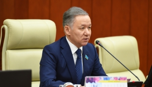 Балаларды бюрократиялық анықтамаларға кішкентайынан үйретудің қажеті бар ма – Нығматулин