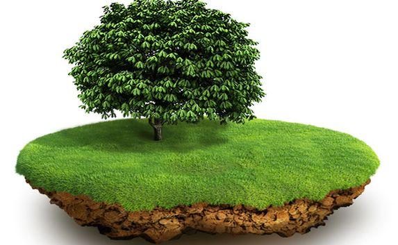 Почти 2,5 тыс. га земли из лесного фонда в ЮКО хотят передать «Южной горно-химической компании» для разведки и добычи урана