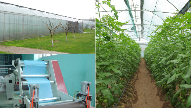 Бақытжан Сағынтаев Оңтүстік Қазақстан облысындағы АӨК дамыту қарқынымен танысты