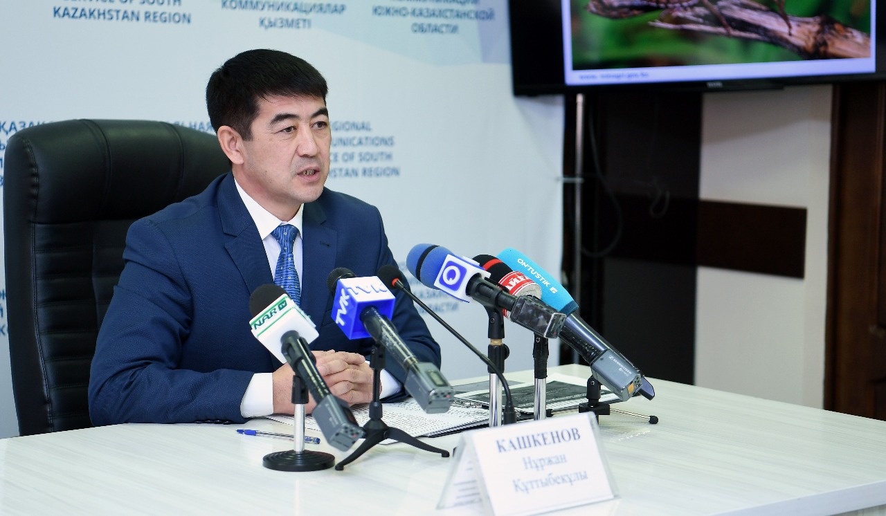 ОҚО-да биыл бойынша шегіртке зиянкестеріне қарсы химиялық өңдеу шаралары 350 мың гектардан астам аумаққа жүргізіледі