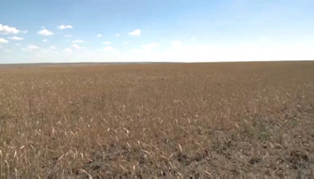 Жерге қатысты әлеуметтік желіде тарап кеткен алыпқашпа әңгімелер шындыққа сай келмейді