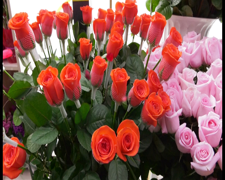 Мерекелік құттықтау